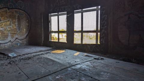 Yet another linseed album - PXL_20231017_204845996.jpg