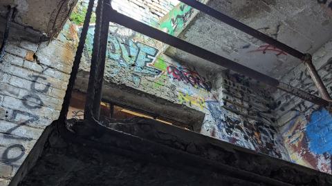 Yet another linseed album - PXL_20231017_204922839.jpg