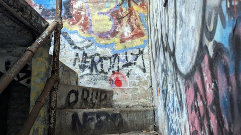 Yet another linseed album - PXL_20231017_204925775.jpg