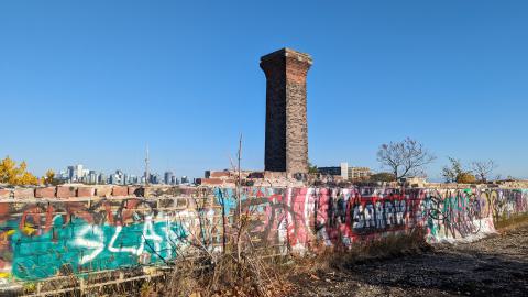 Photo from Yet another linseed album