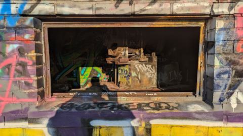 Yet another linseed album - PXL_20231017_212408074.jpg