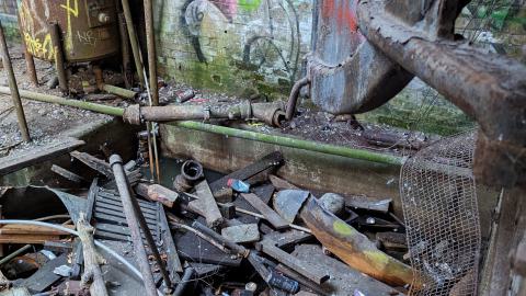 Yet another linseed album - PXL_20231017_213036499.MP.jpg