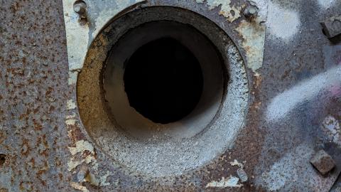 Yet another linseed album - PXL_20231017_213111412.jpg