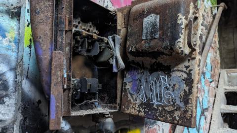 Yet another linseed album - PXL_20231017_213133231.jpg