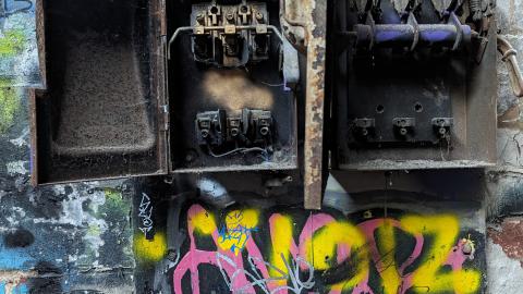 Yet another linseed album - PXL_20231017_213147526.jpg