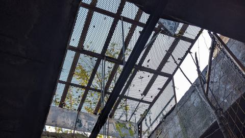 Yet another linseed album - PXL_20231017_213153749.jpg