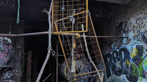 Yet another linseed album - PXL_20231017_213303283.jpg