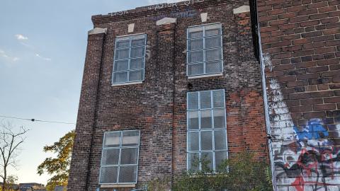 Yet another linseed album - PXL_20231017_213810702.jpg