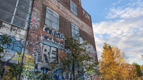 Yet another linseed album - PXL_20231017_213911711.jpg