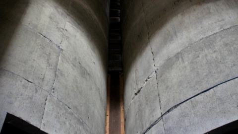 The Kit Lens Days - APRIL 2020 - IMG_7687.JPG