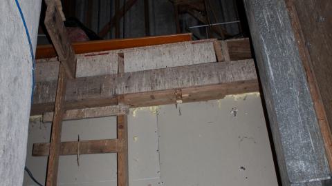 The Kit Lens Days - APRIL 2020 - IMG_7691.JPG