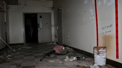 The Kit Lens Days - APRIL 2020 - IMG_7694.JPG