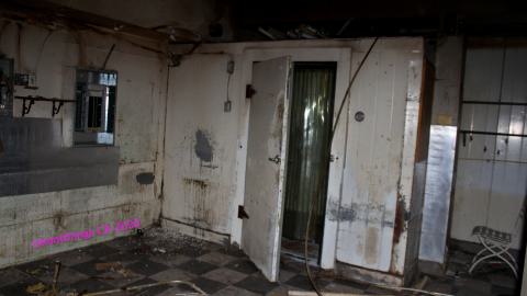 The Kit Lens Days - APRIL 2020 - IMG_7716.JPG