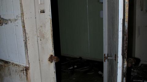 The Kit Lens Days - APRIL 2020 - IMG_7721.JPG