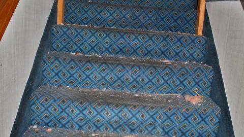 The Kit Lens Days - APRIL 2020 - IMG_7763.JPG