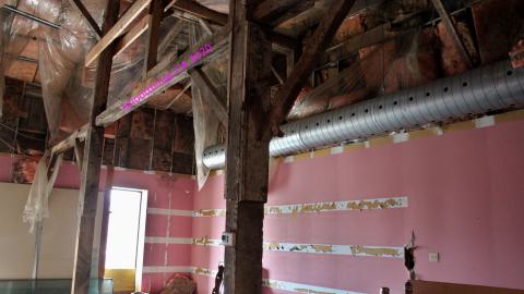 The Kit Lens Days - APRIL 2020 - IMG_7772.JPG