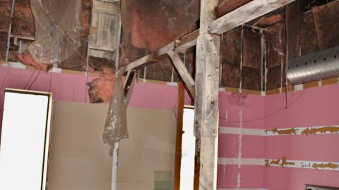 The Kit Lens Days - APRIL 2020 - IMG_7777.JPG