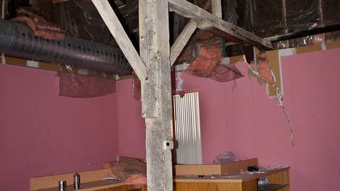 The Kit Lens Days - APRIL 2020 - IMG_7778.JPG