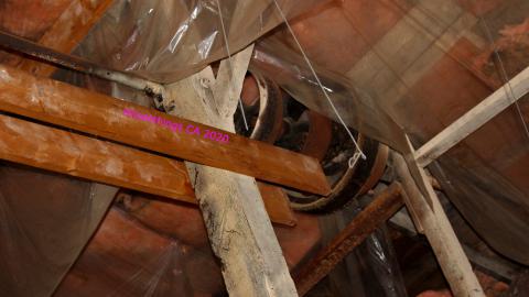 The Kit Lens Days - APRIL 2020 - IMG_7779.JPG