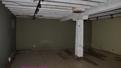 The Kit Lens Days - APRIL 2020 - IMG_7791.JPG