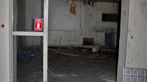 The Kit Lens Days - APRIL 2020 - IMG_7802.JPG