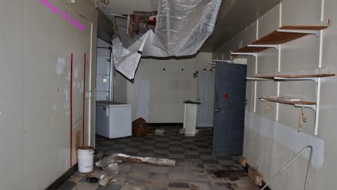 The Kit Lens Days - APRIL 2020 - IMG_7804.JPG