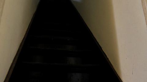 "..Thought You Were An Aggressive Squatter.." - JUNE 2023 - IMG_6262.JPG