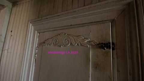 "..Thought You Were An Aggressive Squatter.." - JUNE 2023 - IMG_6264.JPG