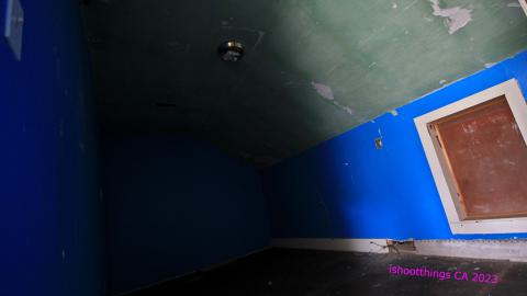 "..Thought You Were An Aggressive Squatter.." - JUNE 2023 - IMG_6301.JPG