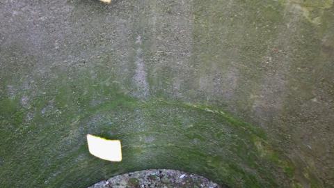 "..Thought You Were An Aggressive Squatter.." - JUNE 2023 - IMG_6331.JPG