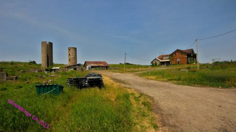 "..Thought You Were An Aggressive Squatter.." - JUNE 2023 - IMG_6352.JPG