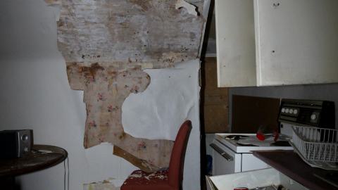 Despair. - NOV 2022 - IMG_1436.JPG