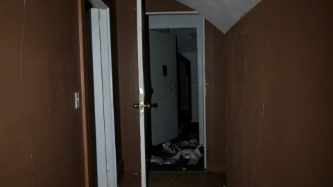 Despair. - NOV 2022 - IMG_1439.JPG