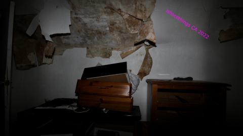 Despair. - NOV 2022 - IMG_1443.JPG