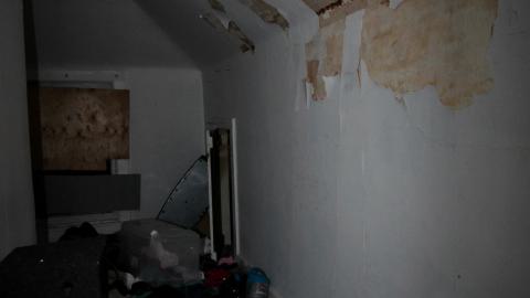 Despair. - NOV 2022 - IMG_1444.JPG