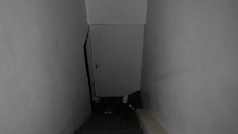 Despair. - NOV 2022 - IMG_1445.JPG