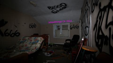 Despair. - NOV 2022 - IMG_1452.JPG