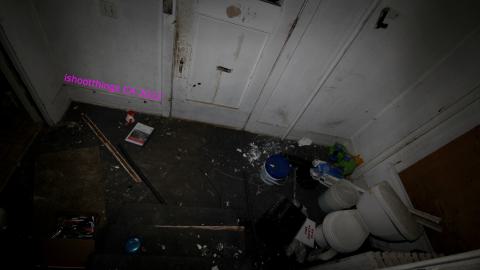 Despair. - NOV 2022 - IMG_1454.JPG