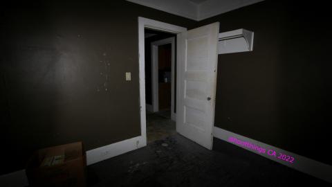 Despair. - NOV 2022 - IMG_1457.JPG