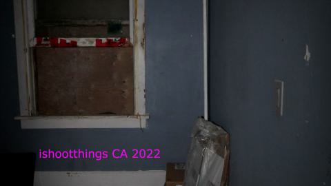 Despair. - NOV 2022 - IMG_1458.JPG