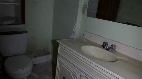 Despair. - NOV 2022 - IMG_1462.JPG