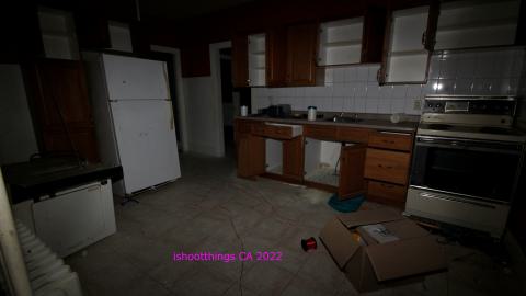 Despair. - NOV 2022 - IMG_1463.JPG