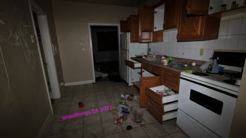 Despair. - NOV 2022 - IMG_1469.JPG