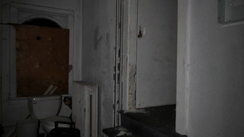 Despair. - NOV 2022 - IMG_1472.JPG