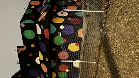 Photo from the clown zone