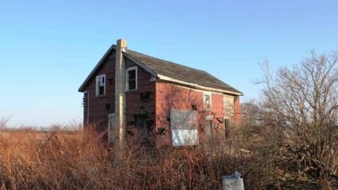 Townline Farm - Townline-Farm3.jpg