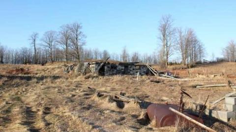 Townline Farm - Townline-Farm4.jpg