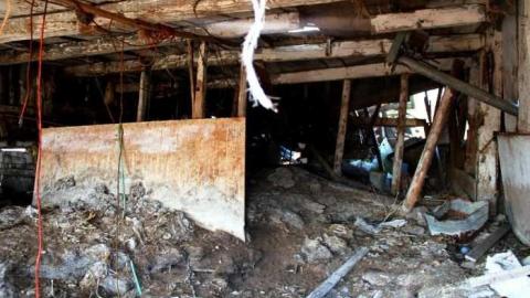 Townline Farm - Townline-Farm6.jpg