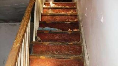 Townline Farm - Townline-Farm16.jpg