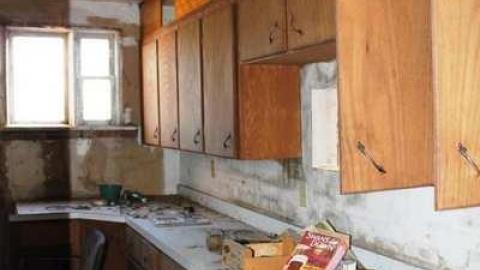 Townline Farm - Townline-Farm20.jpg